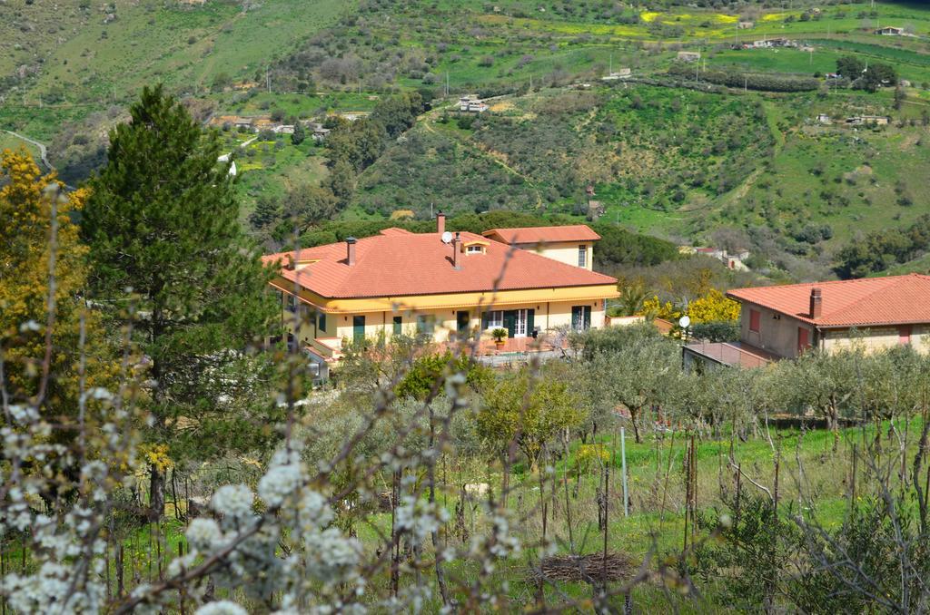 أليا Villa Della Mimosa المظهر الخارجي الصورة