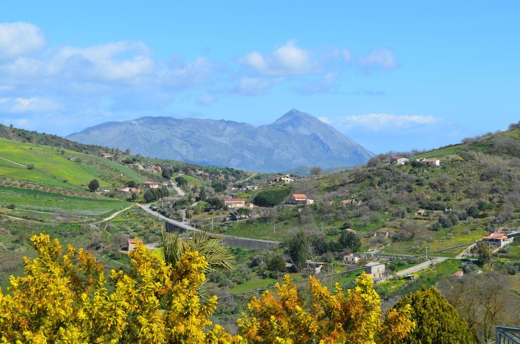 أليا Villa Della Mimosa المظهر الخارجي الصورة