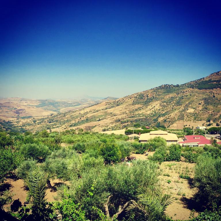 أليا Villa Della Mimosa المظهر الخارجي الصورة