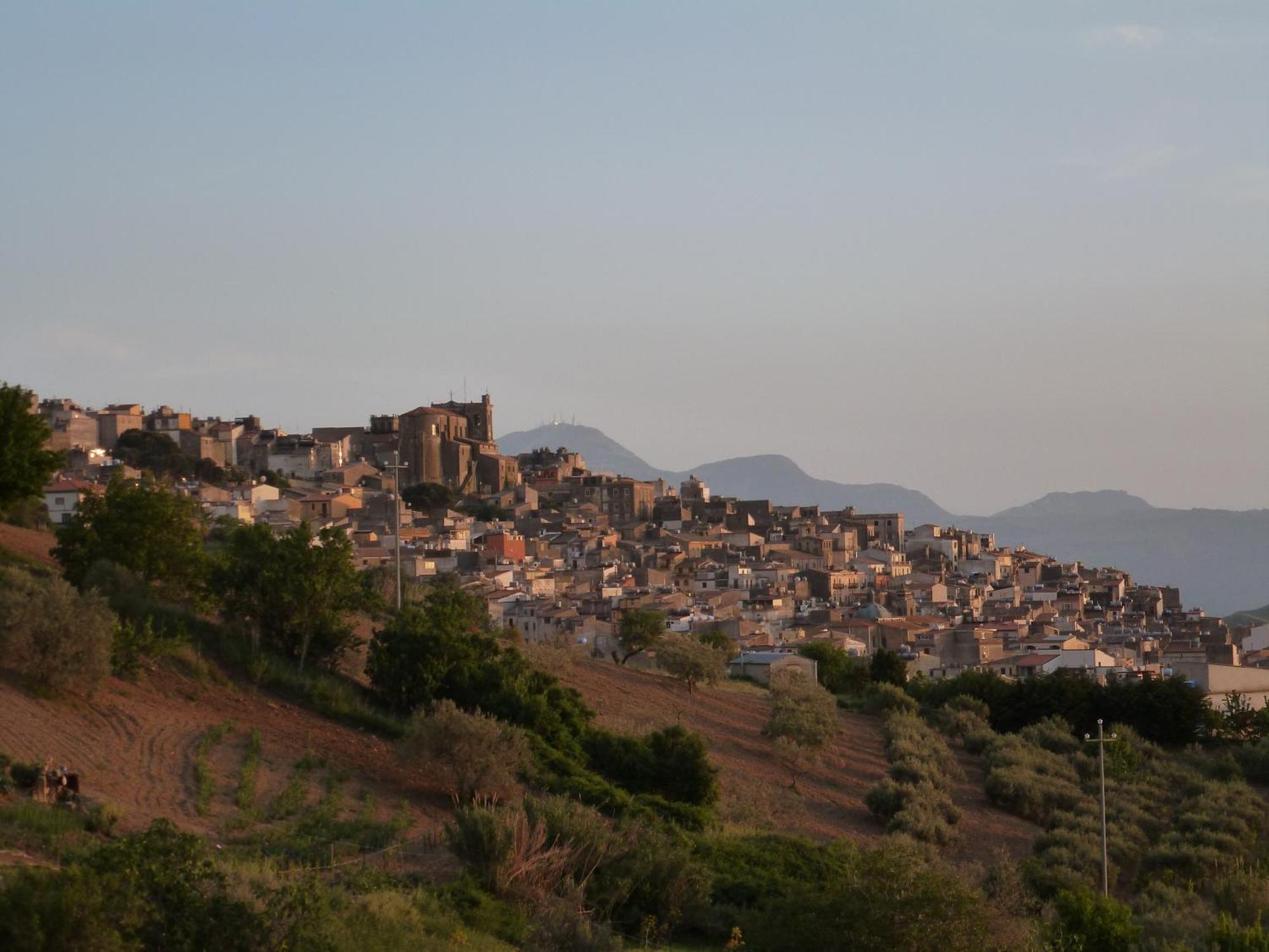أليا Villa Della Mimosa المظهر الخارجي الصورة