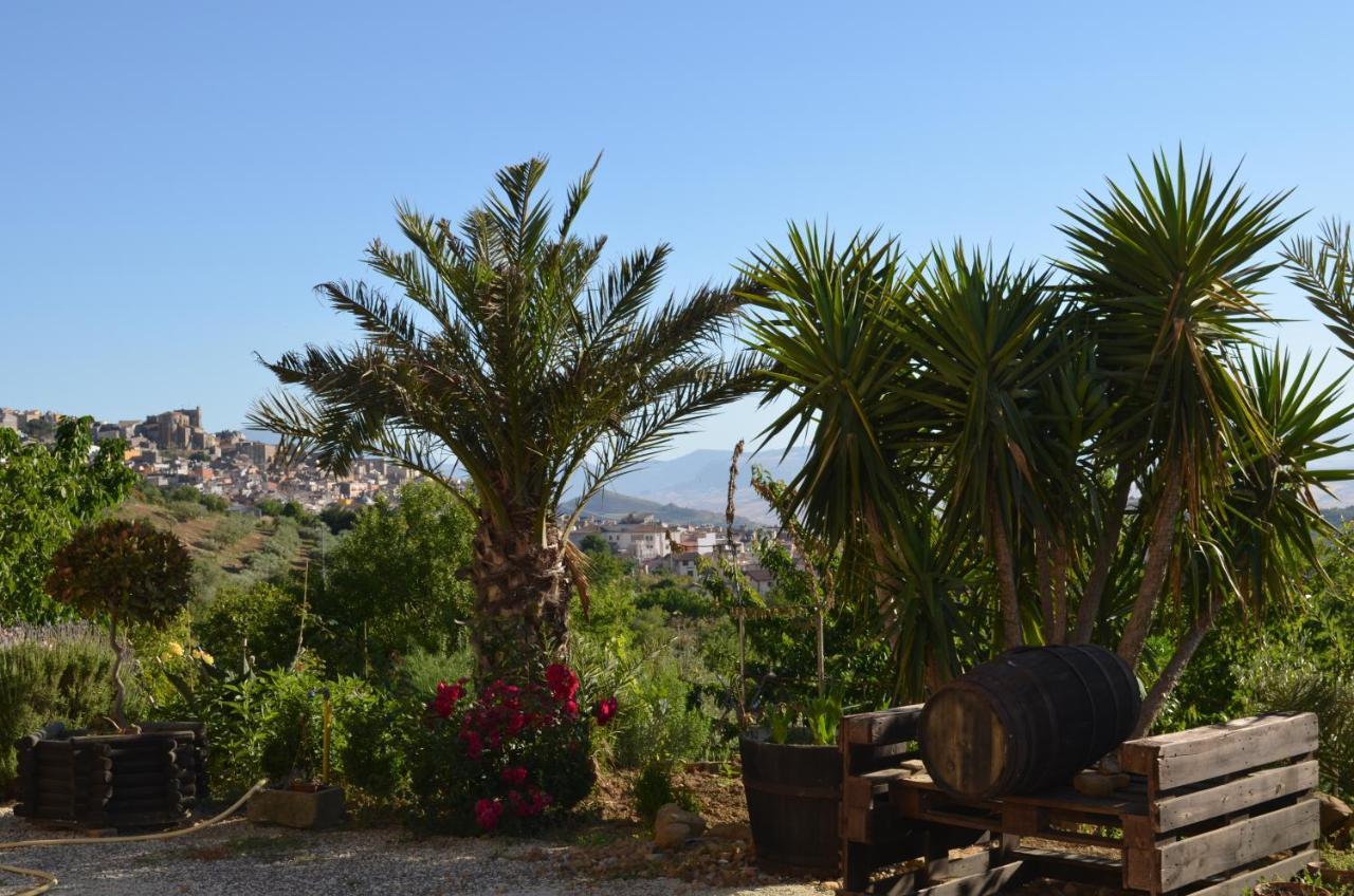 أليا Villa Della Mimosa المظهر الخارجي الصورة